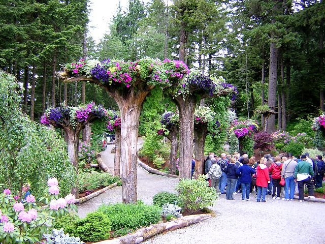 Glacier Gardens Juneau
